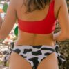Tanga de Vaca